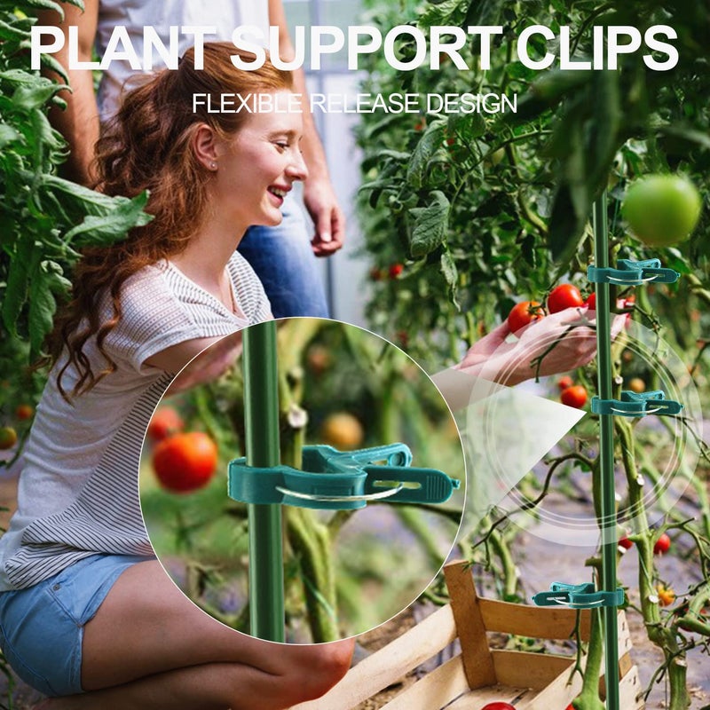 Yinghezu 40 Pcs Plant Support Clips,Flower and Vine,Garden Tomato Plant Support Clips for Supporting Stems,Vines Grow Upright Climbing,Tool for Straightening,Tomato Cage,Trellis. 2 Sizes in one Pack - Image 3